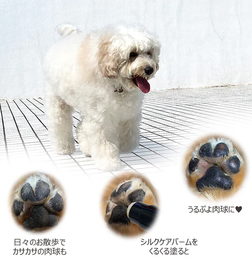 TEGSUMI シルクケアバーム 肉球クリーム 獣医師監修 国産ナノシルク配合 美容液成分もたっぷり 自然由来成分98.8%